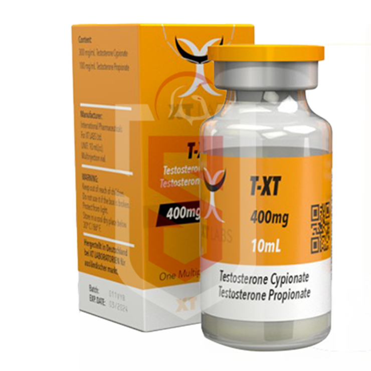 TXT | XT LABS